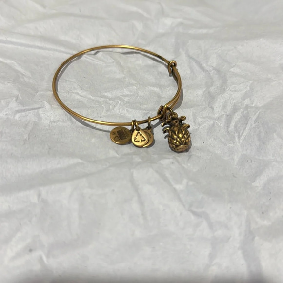 Alex and Ani Gold Tone Pineapple Energy Bangle Bracelet - Picture 1 of 3